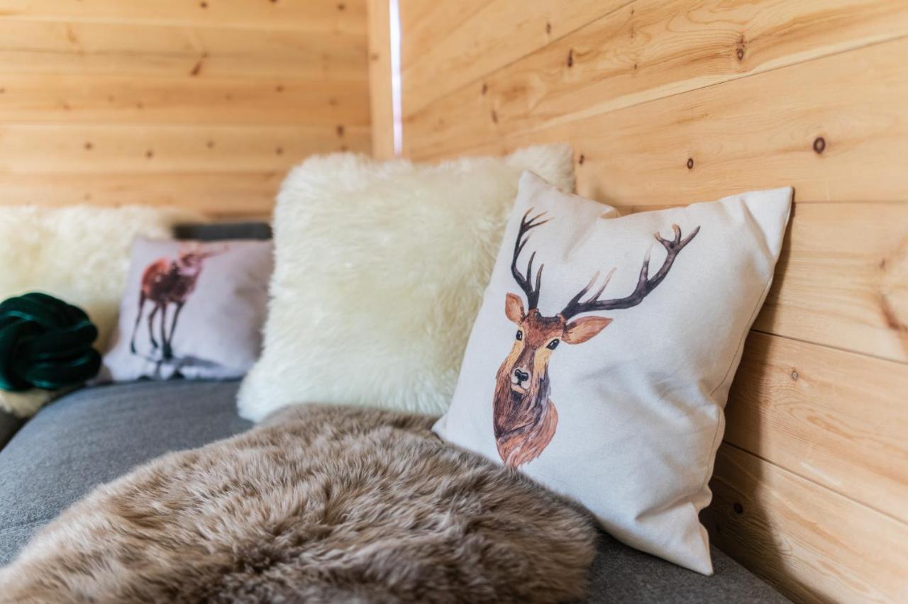 Villa Haus Am Wald à Bad Schandau Extérieur photo
